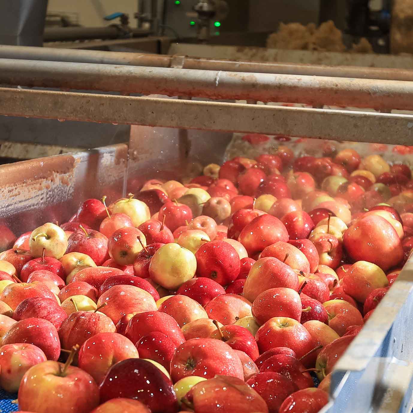 Photographie couleurs de pommes dans l'usine d'un fabricant de compotes en France.