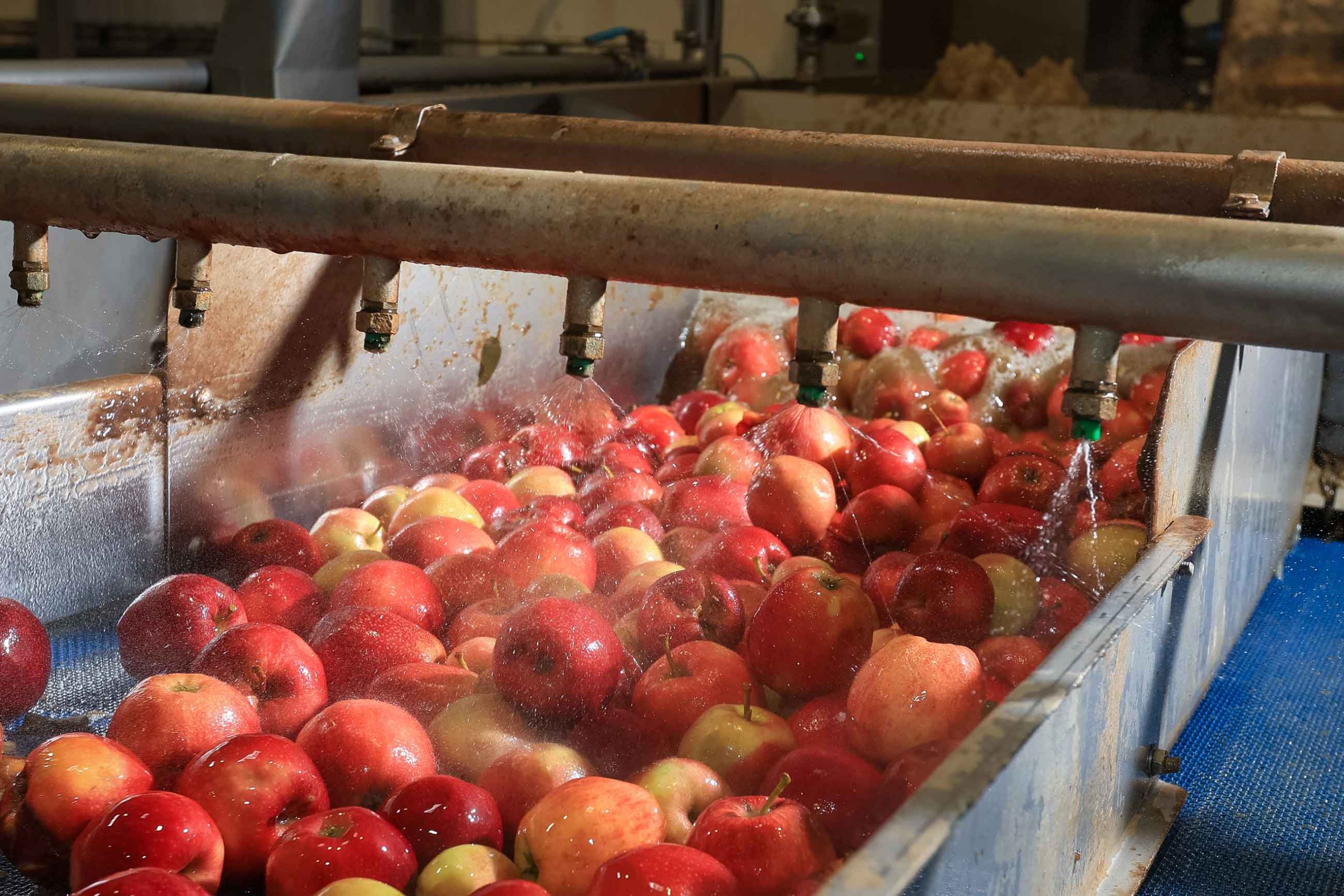 Photographie couleur de pommes en train d'être lavées chez un transformateur de fruits en Bourgogne