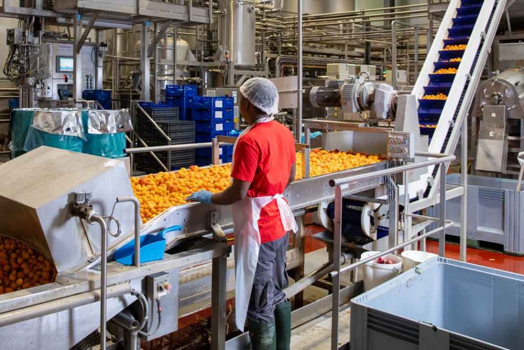 Photographie de l'atelier de transformation des fruits en purée de Foulon Sopagly. On voit ici des abricots.